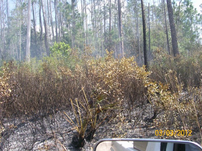 2012-Mar-03HGR4X4Richloam 139